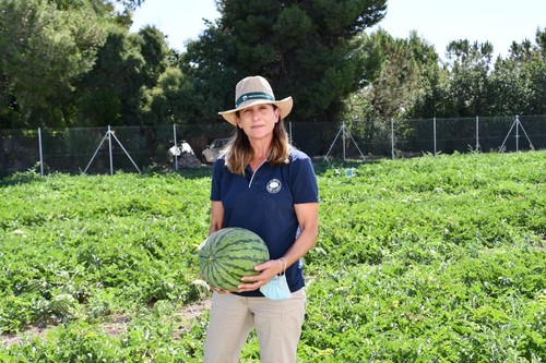 Isabel María Díaz, técnico comercial para sandía, lechuga, brásicas y espinacas de Syngenta, con la novedad WDL9303.