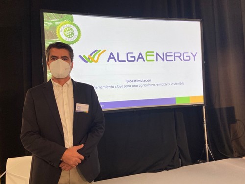 Felipe Posada, director comercial en Iberia de Alga Energy.