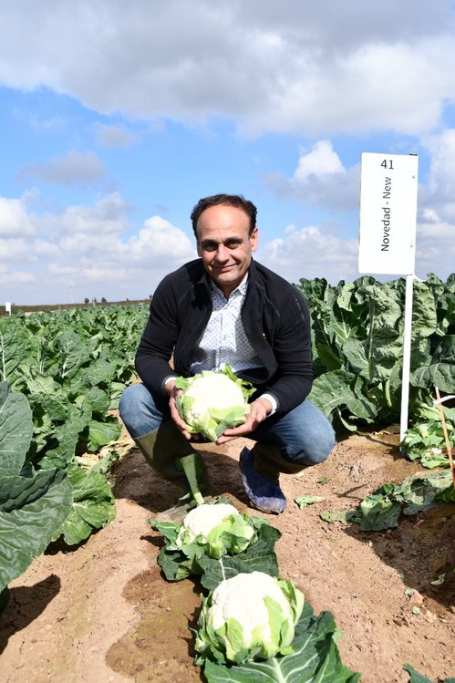 José Hernández, especialista de cultivo de brassicas de Rijk Zwaan con las nuevas propuestas en coliflor