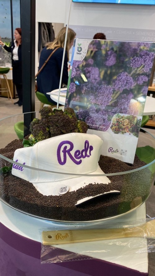 Redi, de Bejo. Caterina Pak.
