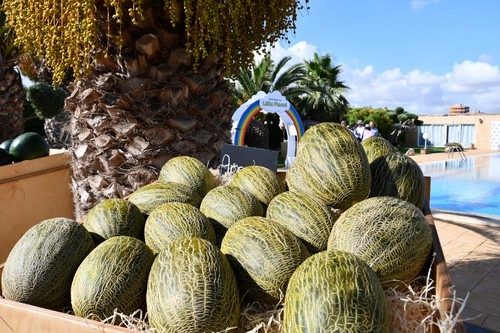 Arroyo cuenta con el distinto Flavourite por su gran sabor.