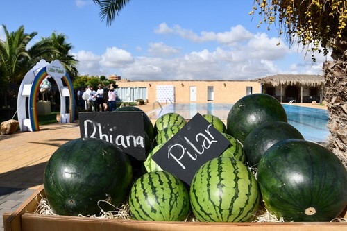 Las sandías de Fitó que protagonizaron el evento en el Campo de Cartagena.