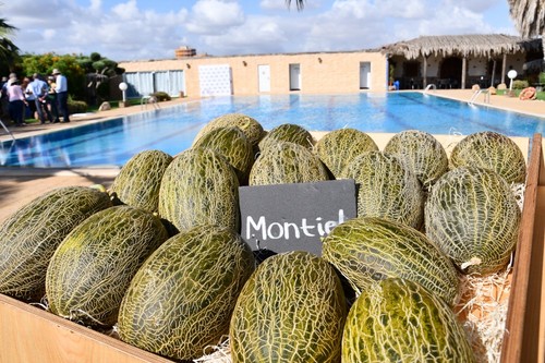 Montiel ya tiene sello Flavourite