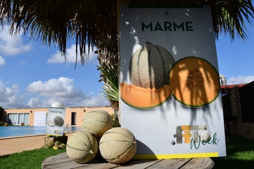 Marme tiene una carne naranja intenso.