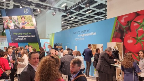 Expositor de Bayer
