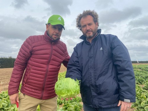 Andrés Román, especialista de lechuga, y Santiago Marín, mejorador de lechuga de la casa de semillas