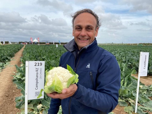 José Hernández, especialista de brásicas de Rijk Zwaan junto a la variedad de coliflor Campohana
