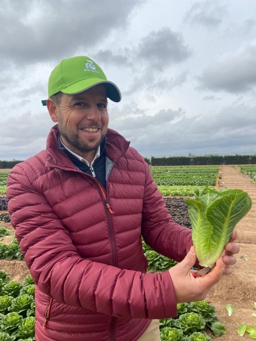 Andrés Román, especialista de lechuga de Rijk Zwaan, mostrando la variedad Zikita RZ
