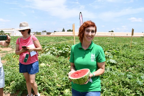 Sheila Cruz, responsable de sandía y pepino para Seminis.
