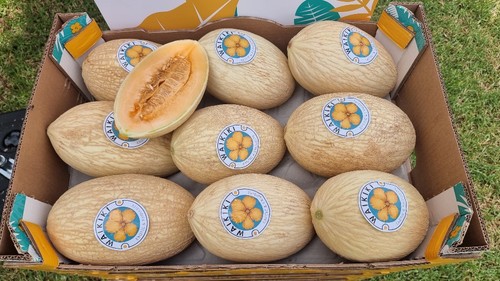 Waikiki es una fruta exótica y refrescante