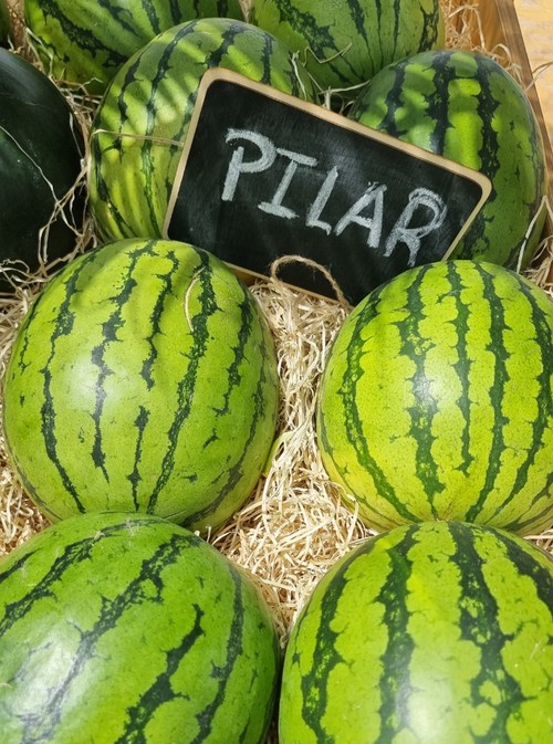 Pilar es una microsemillas de Fitó con dos años en el mercado.