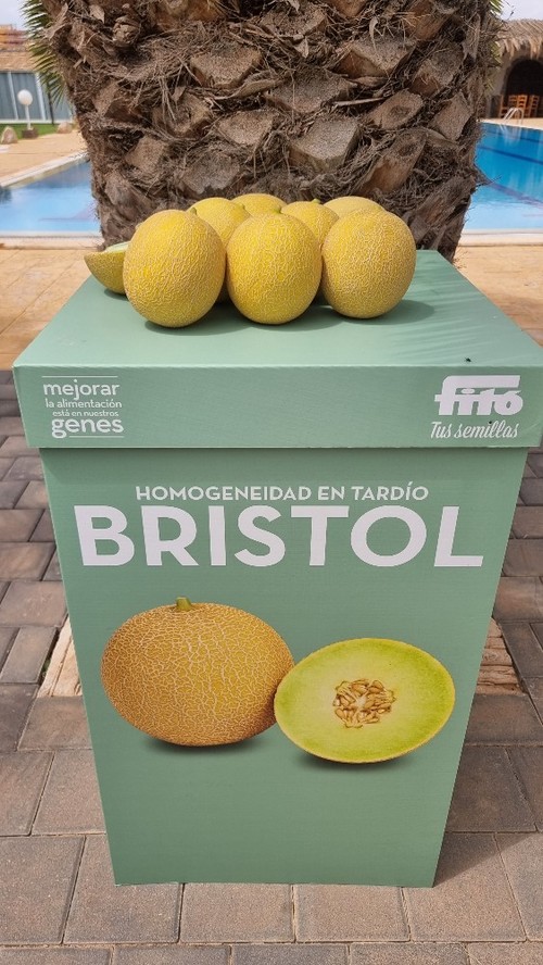 El galia Bristol tiene resistencias a oídio y a pulgón