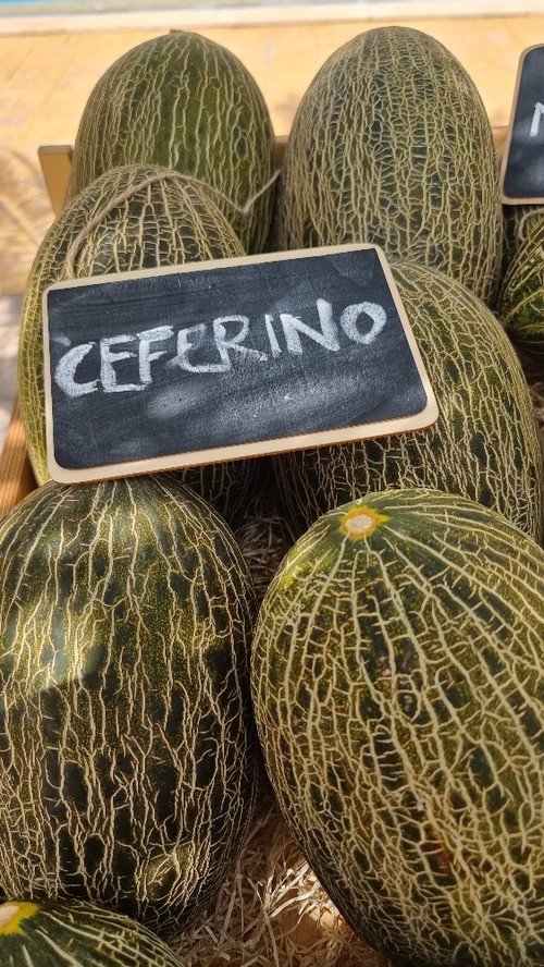Ceferino tiene una carne suave y es muy precoz.