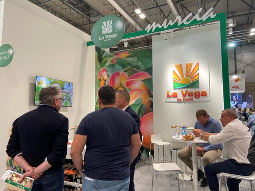 La Vega de Cieza