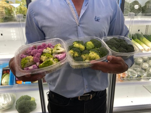 Variedad de diversos floretes de coliflor