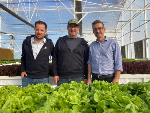 Andrés Román, José Luis Sáiz y José Enrique Colomina dentro del inverndero de hidropónico