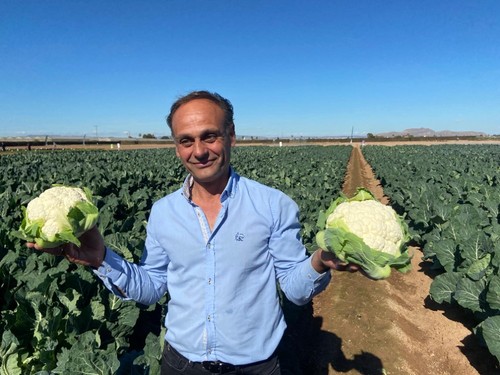 José Hernández mostrando dos variedades de coliflor como Brigant RZ y Campohana RZ