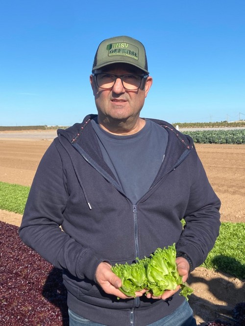 José Luis Sáiz mostrando nuevas propuestas de lechuga