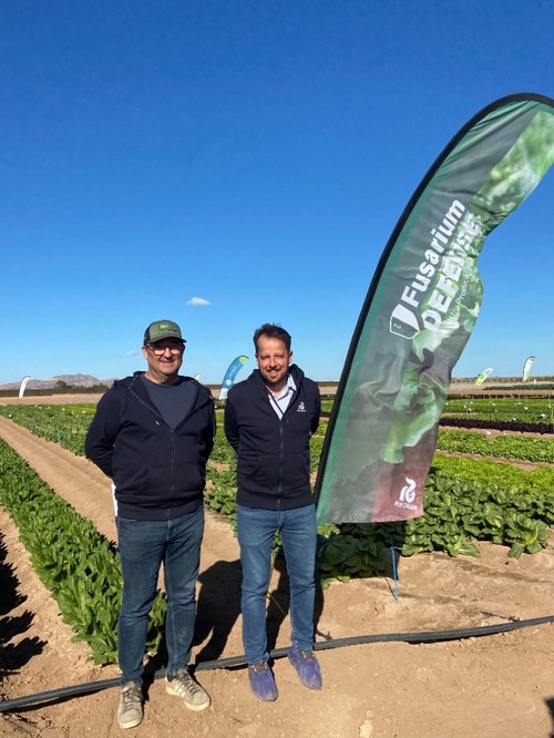 José Luis Sáiz y Andrés Román, del área de lechuga de Rijk Zwaan