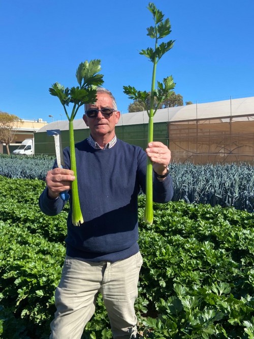 Santiago Gastón de Iriarte mostrando el nuevo concepto Reduce Foliage junto con una variedad tradicional