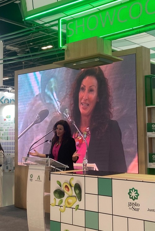 La alcaldesa de Almería, María del Mar Vázquez, dando a conocer algunos datos del congreso Vestial 2025