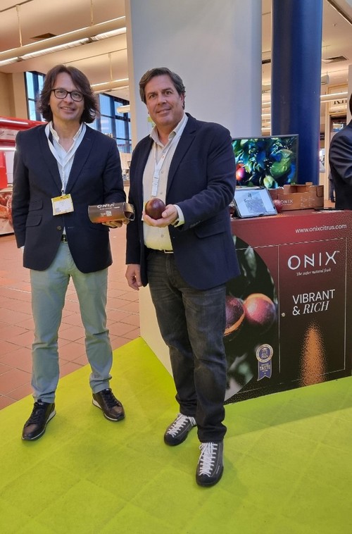 Onix, la naranja roja que se cultiva en Sevilla.