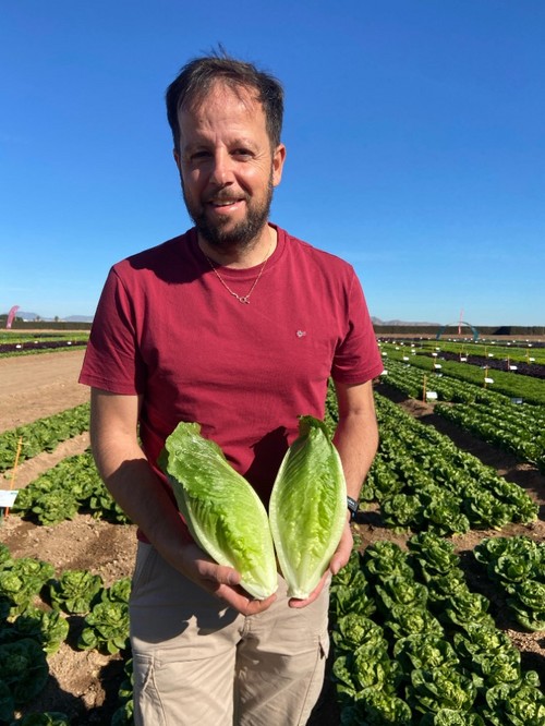 Andrés Román, especiallista de cultivo de lechuga
