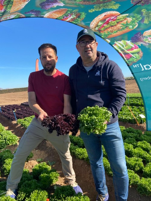 Andrés Román y José Luis Sáiz posando con nuevas variedades de lechuga Crystal