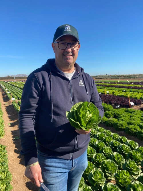 José Luis Sáiz, Client Manager en Rijk Zwaan, mostrando diversas variedades de lechuga
