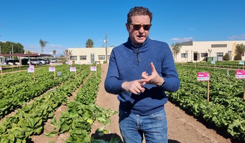 Pedro García, Area Sales Manager de BASF en Murcia