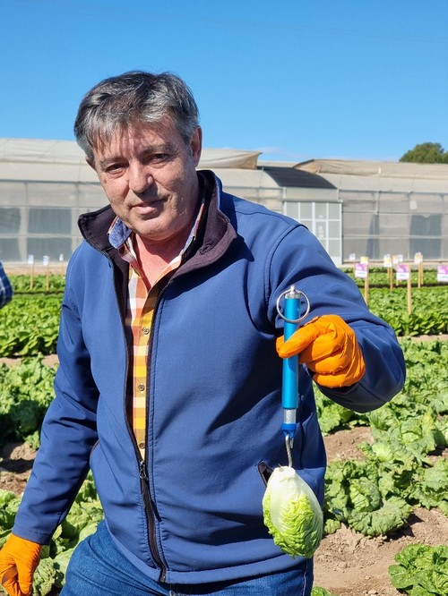 Vicente Garin, Salads Global Product Specialist de BASF, pesa una pieza de Thicket