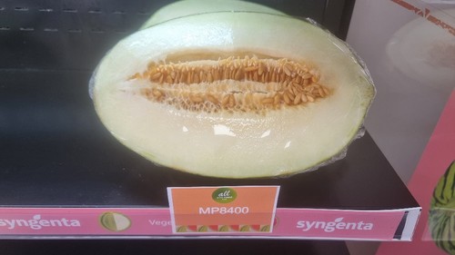 Una de las novedades en piel de sapo