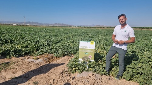 José Javier Ortega, técnico comercial de Semillas Fitó para la Mancha