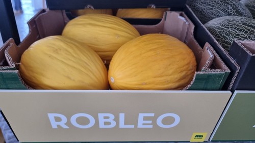 Robleo es una apuesta segura en Murcia