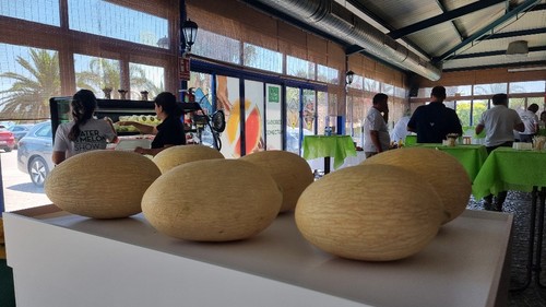La obtentora es líder en melón branco en Portugal