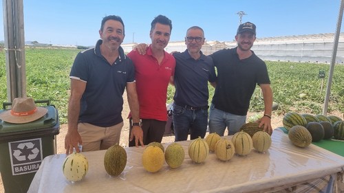 Parque del equipo de melón de BASF | Nunhems