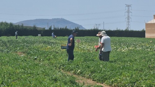 Atendiendo en campo a profesionales de toda la cadena de valor