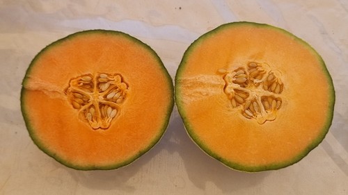 Comparación entre Magverick, de carne magenta, con Delphes, de carne naranja