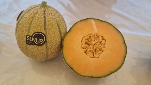 Este cantaloup tiene el punto de corte bien definido