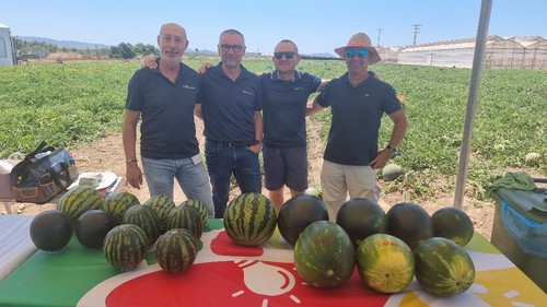 Parte del equipo de sandía de BASF | Nunhems