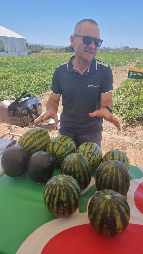 Pere Montón, Senior Account Manager de BASF, con la gama de polinizadores
