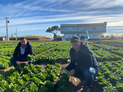 Rijk Zwaan presenta sus materiales adaptados a las nuevas tendencias en sus Winter Open Field Days