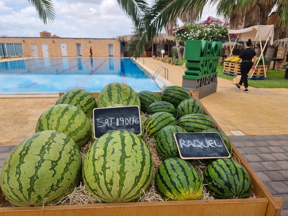 Semillas Fitó muestra en su 'Melon Show' sus novedades en sandía y melón