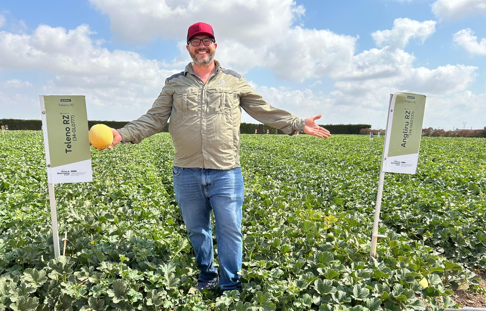 Rijk Zwaan llega al top del sabor con sus nuevas variedades de sandía y melón