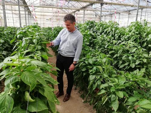 El Centro de Demostración Agraria de San Javier imparte doce ensayos en variedades de agricultura ecológica y en abonado ambiental