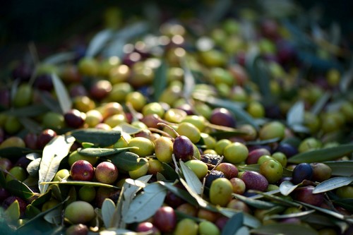 El Gobierno invierte 4 millones de euros para promocionar los alimentos de España en el mercado exterior