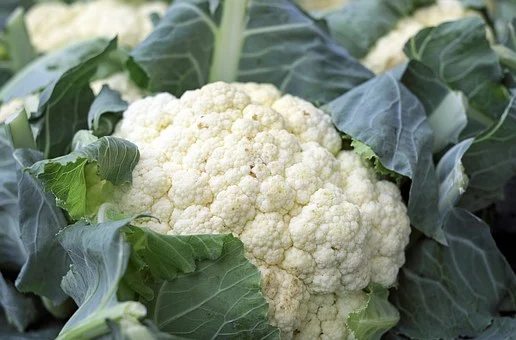 Hortalizas al aire libre como brócoli o coliflor están sufriendo importantes problemas de plagas en la semana 38 del año