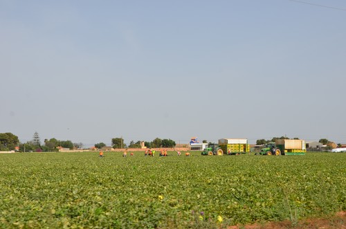 ASAJA considera insasumibles las medidas cautelares que pretende aplicar la Confederación Hidrográfica del Segura en el Campo de Cartagena