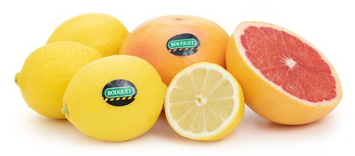 Cítricos y kaki Persimon® marcan el inicio de la campaña agrícola de Anecoop