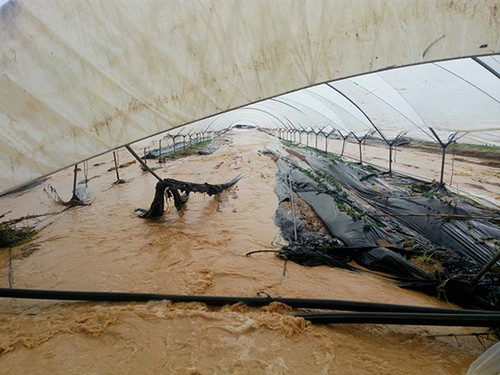 UPA propone que se tengan en cuenta los costes de producción al contratar un seguro agrario